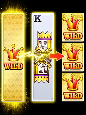 Super Ace slot game Joker Cards