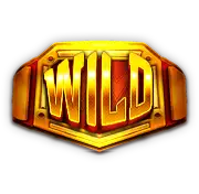 Boxing King Wild symbol